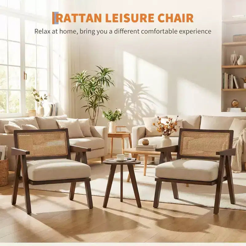Modern Accent Chairs Set of 2, Ratten Upholstered Chairs with Armrests Wood Frame, Living Room Bedroom Home Decor